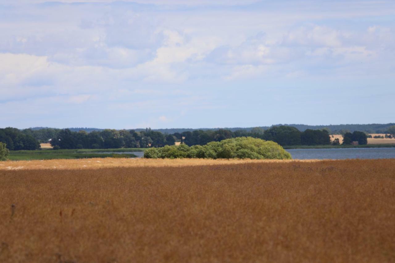 Stolpe auf UsedomSchloss Am Haff公寓 外观 照片